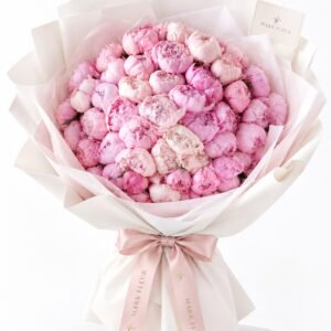 sarah blush peonies