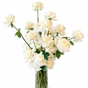 Home white roses