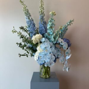 whatsapp image 2026 01 13 at 1.00.35 am