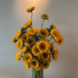 whatsapp image 2026 01 13 at 1.00.37 am