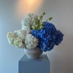 whatsapp image 2026 01 13 at 1.00.40 am