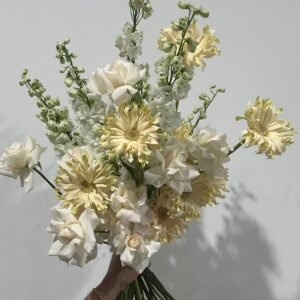 whatsapp image 2026 01 13 at 1.00.48 am (1)