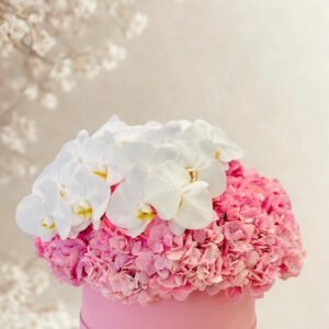 pure elegance (copy)