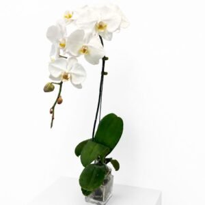 white rose bouquet (copy)